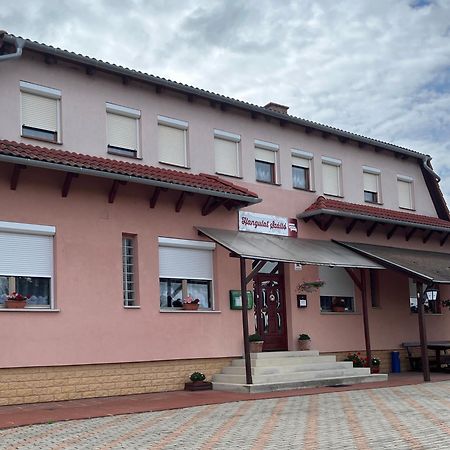 Hangulat Szallo Zalaszentbalazs Dış mekan fotoğraf